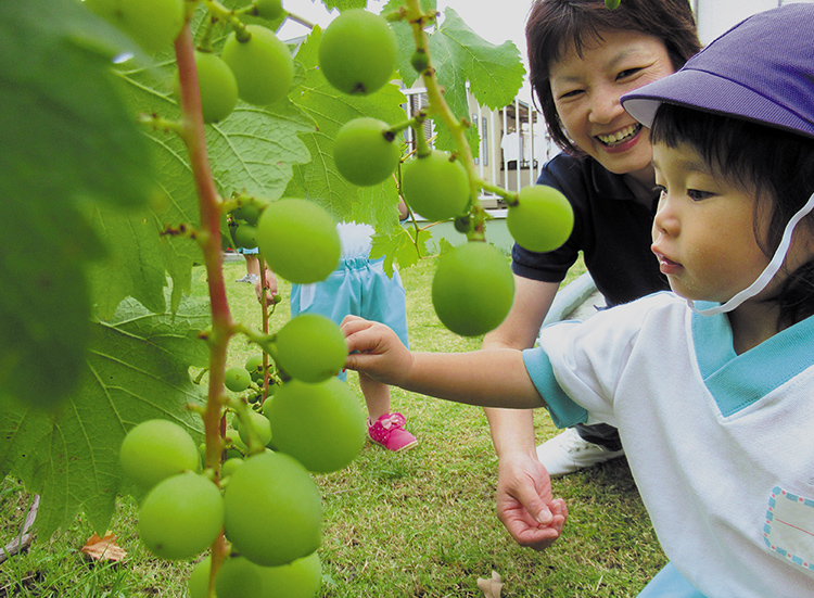 貝塚中央こども園 社会福祉法人 貝塚中央福祉会